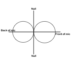 bidirectional microphone