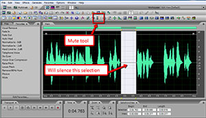 Adobe_Audition_Mute_Tool